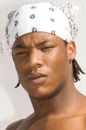 et billede af Black Lion