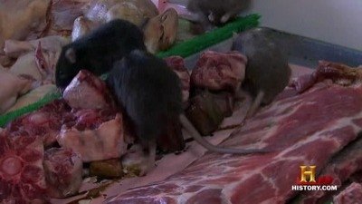 Terre : Population Zéro - Épisode 4