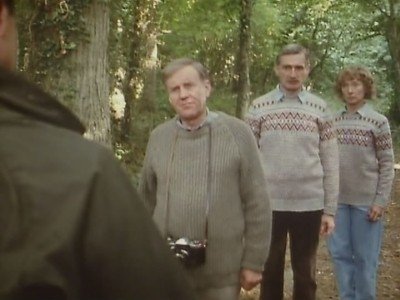 Ever Decreasing Circles