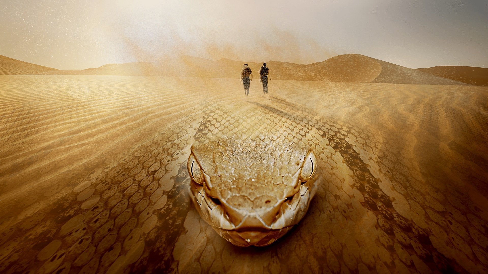 Lost in the Wild poster