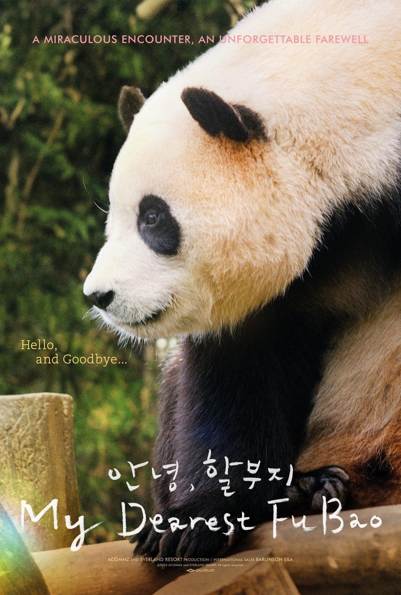 My Dearest Fu Bao