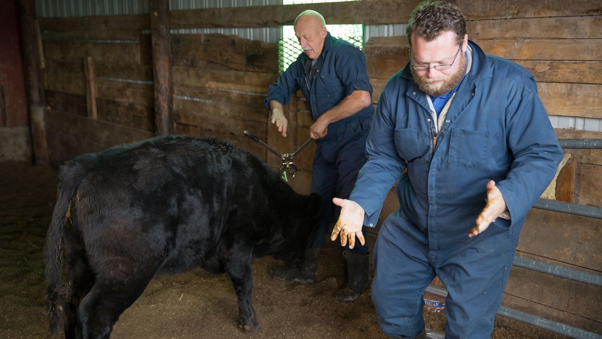 The Incredible Dr. Pol