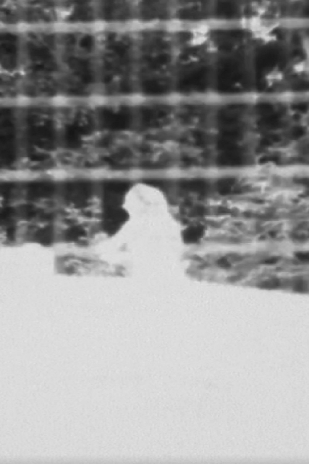 Short (2013)
