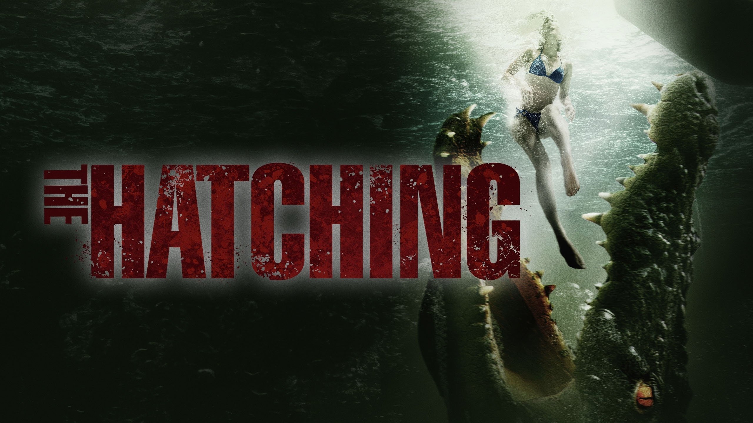 The Hatching (2014)
