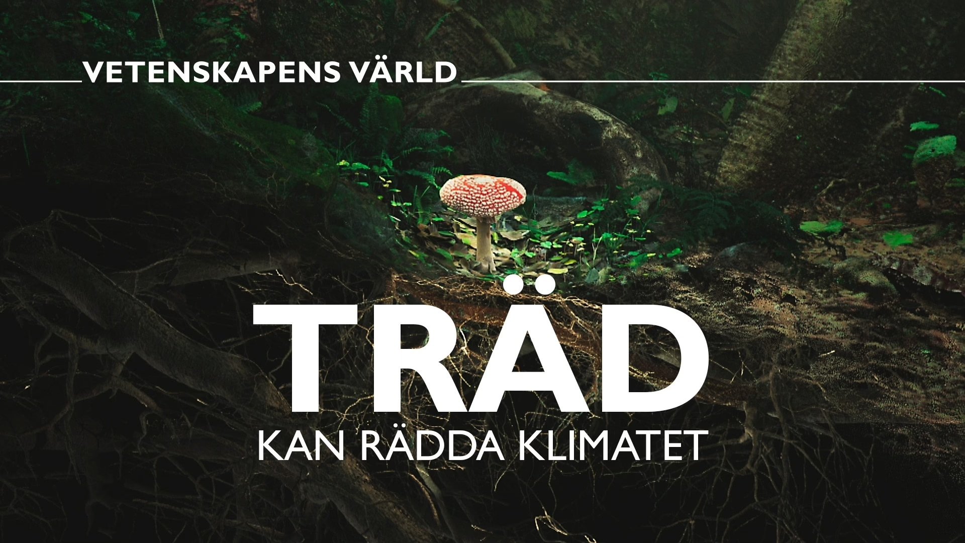 Vetenskapens värld