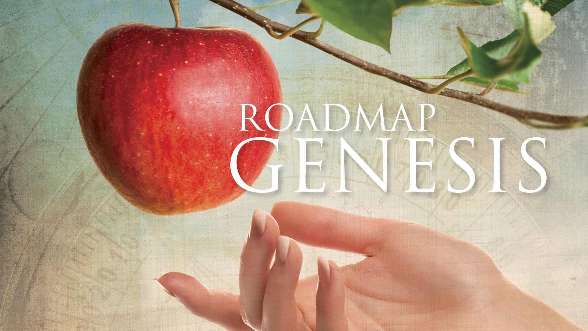 Roadmap Genesis (2015)