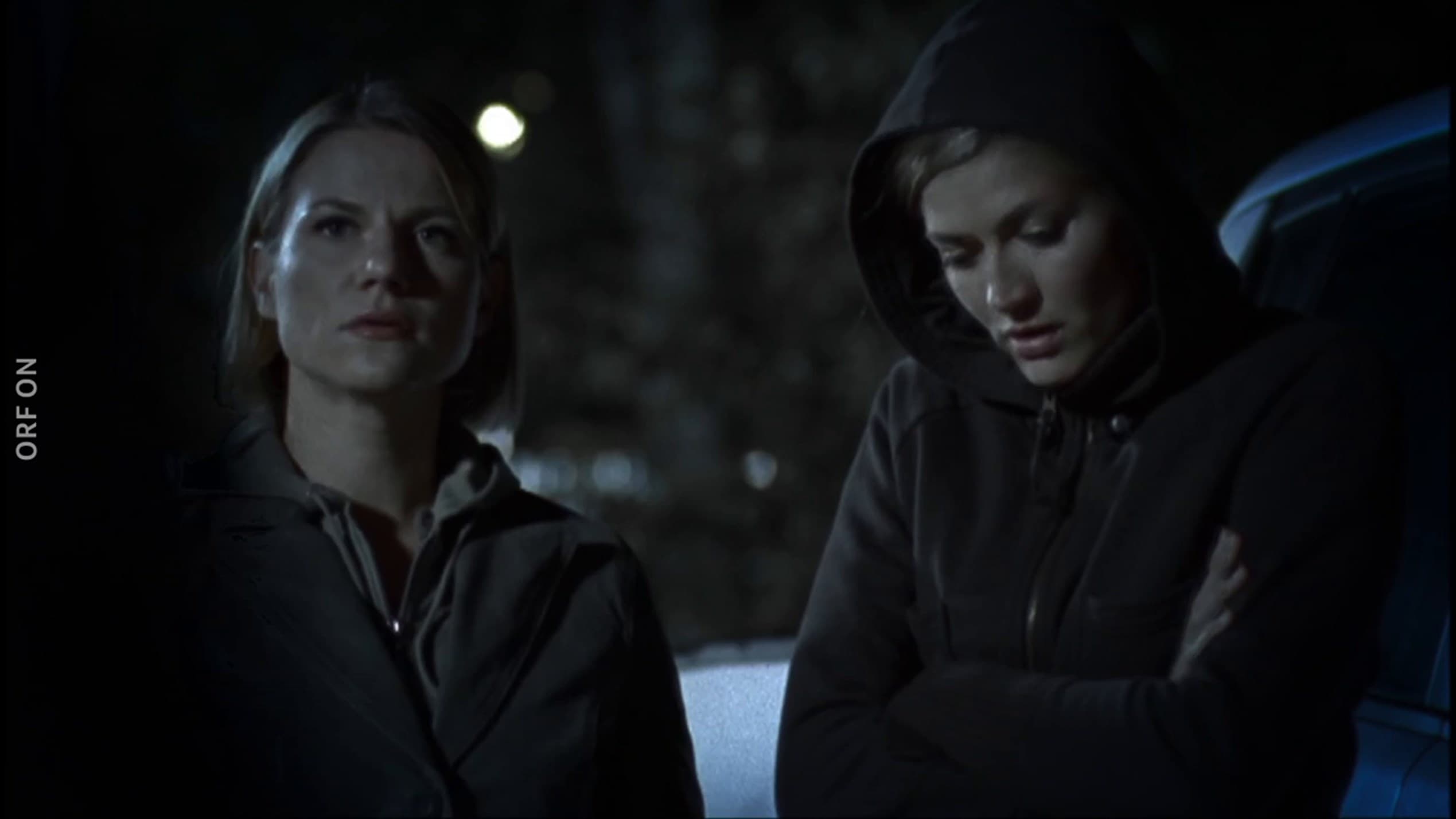 Crimen en los Alpes 6x13