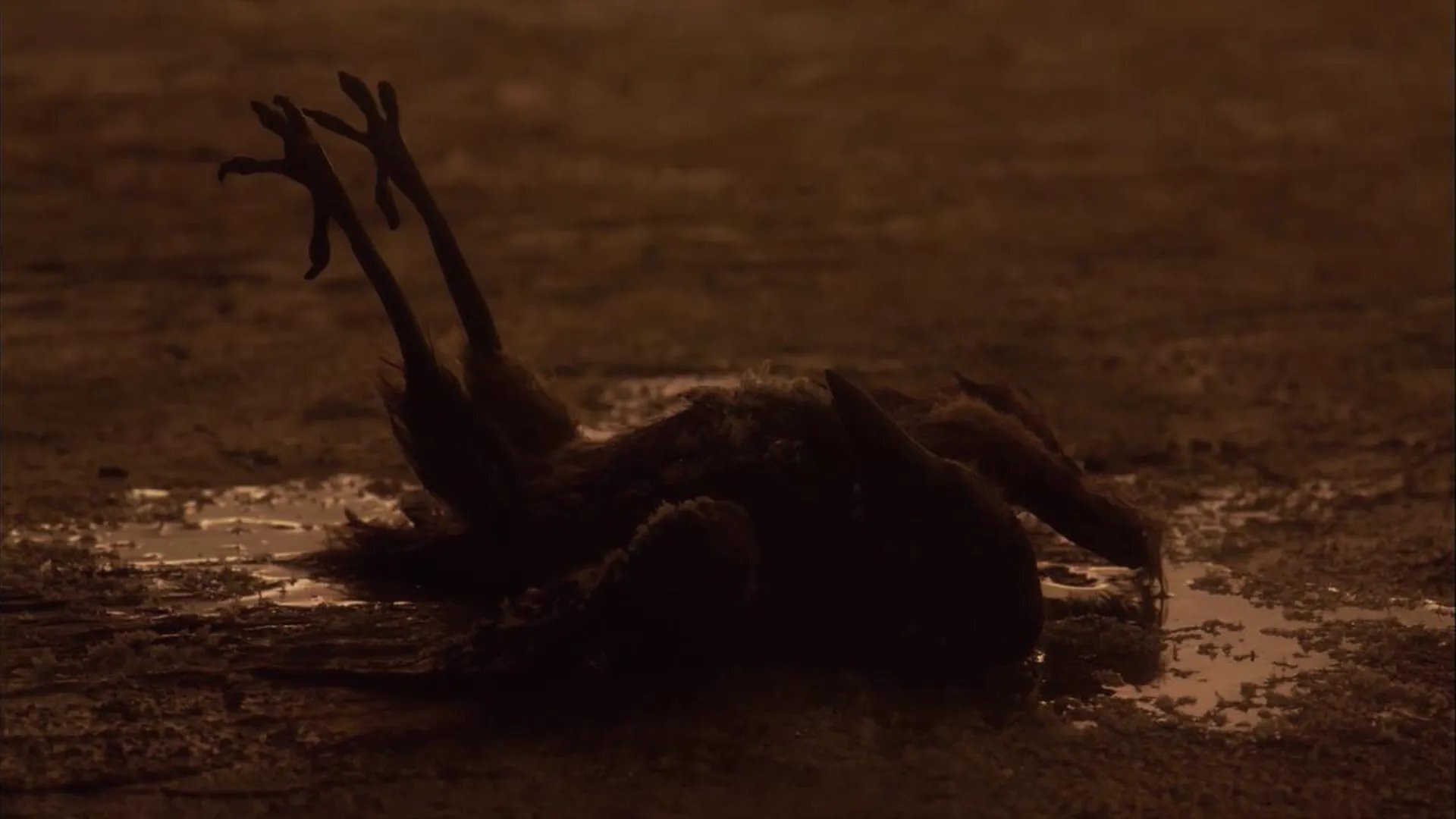 Sororal (2019)