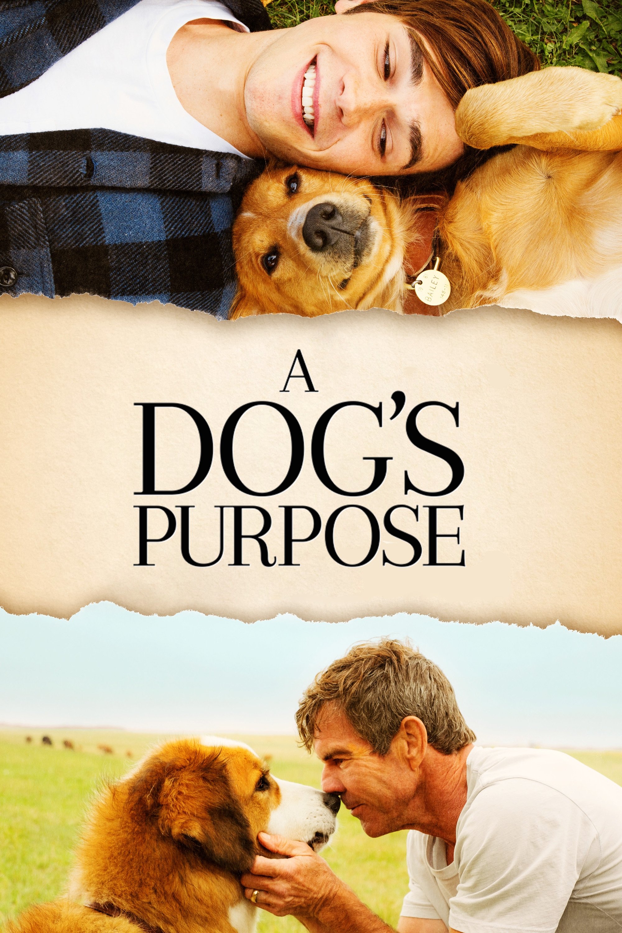 A Dog s Purpose 2017 Posters The Movie Database TMDB 
