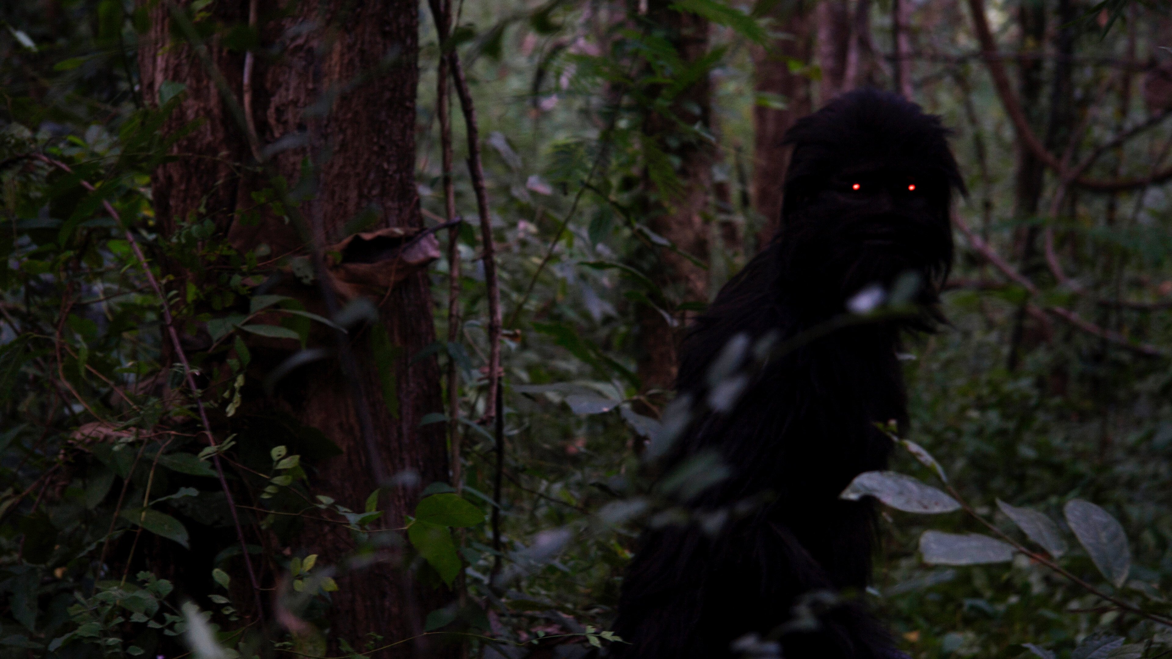 Image du film Oncle Boonmee gya5ymx8eyghwmrt4567ibjbzdqjpg