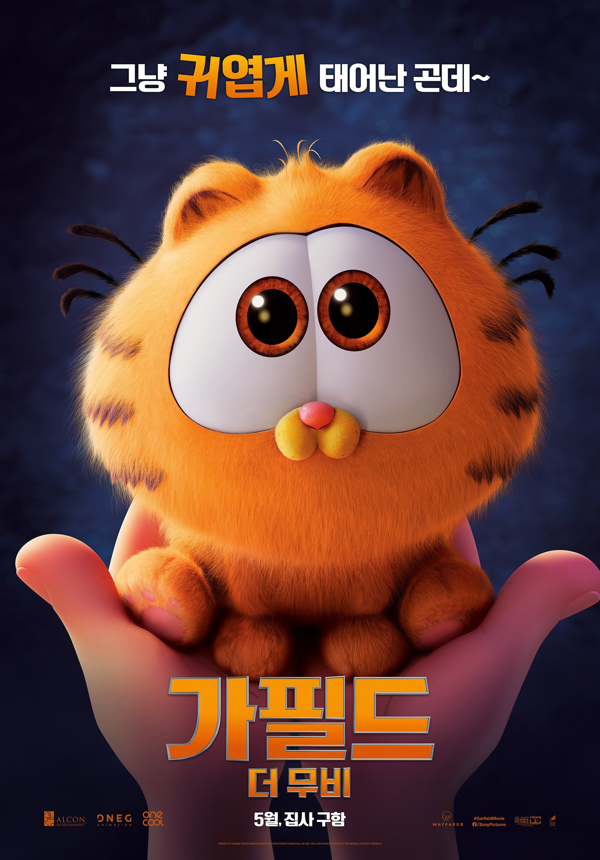 image-preview