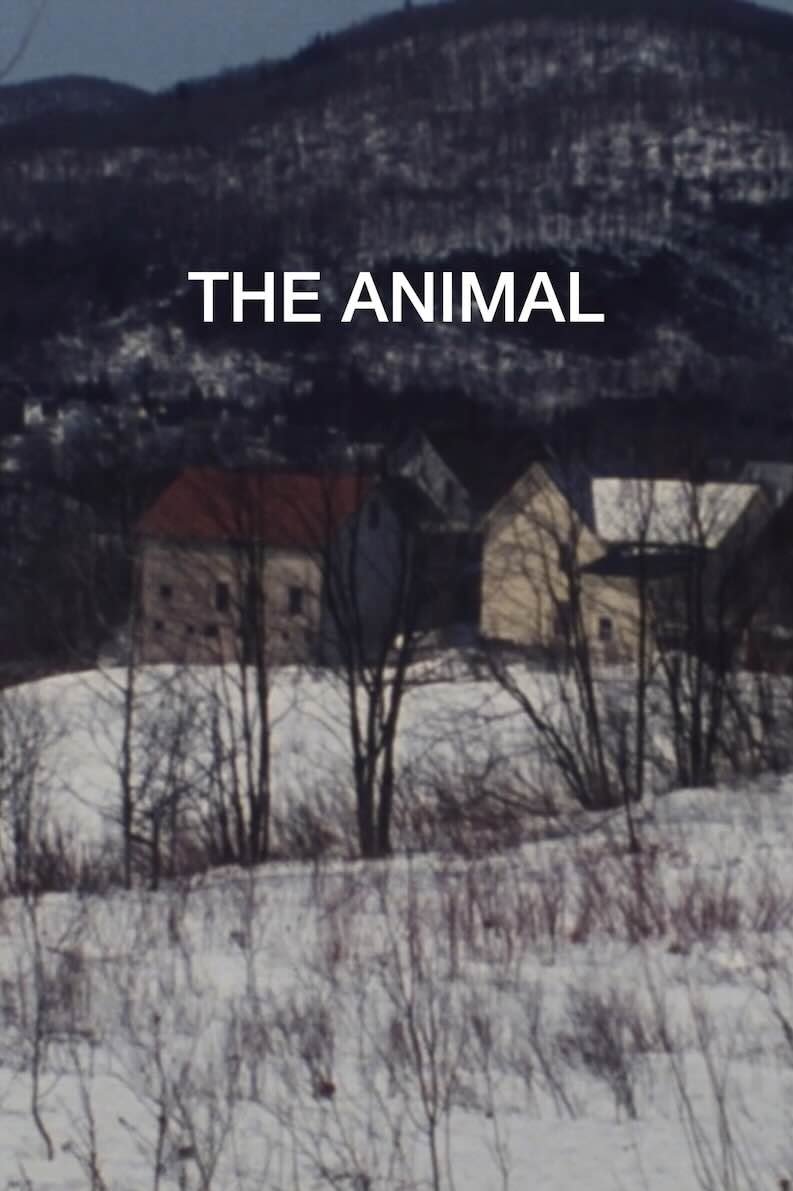 The Animal