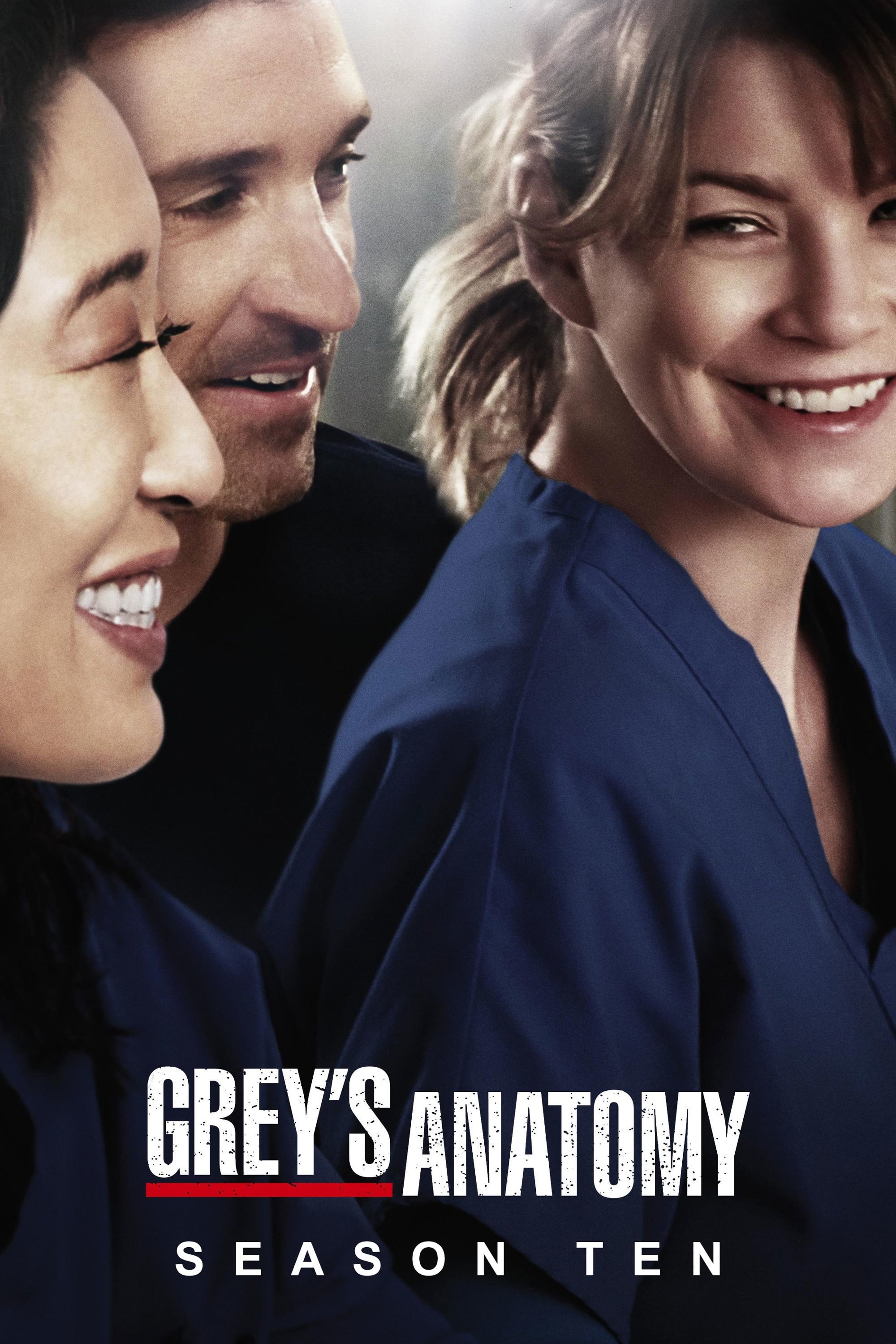 Grey's Anatomy Season 10