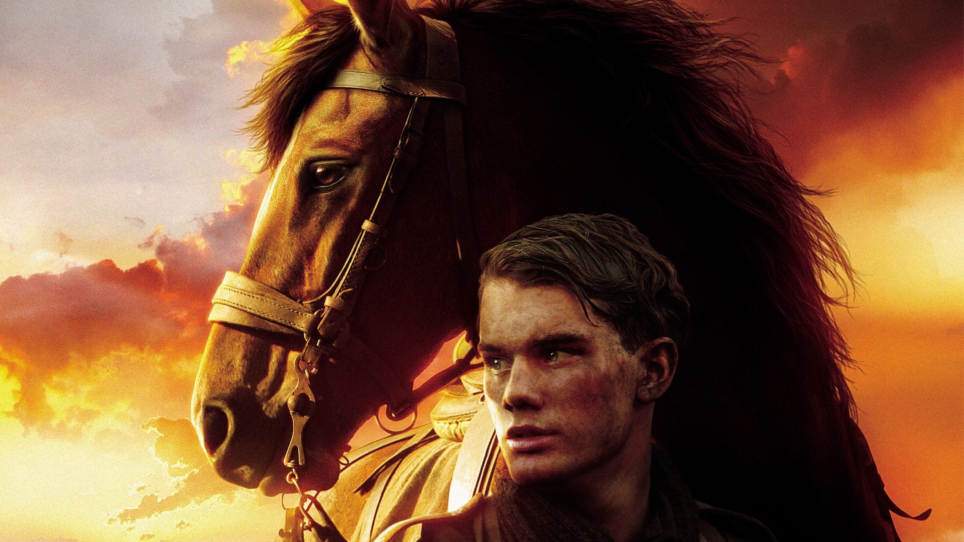 War Horse (2011)