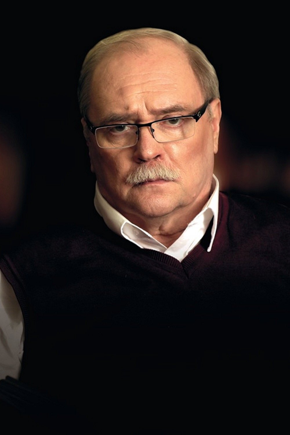 et billede af Vladimir Bortko