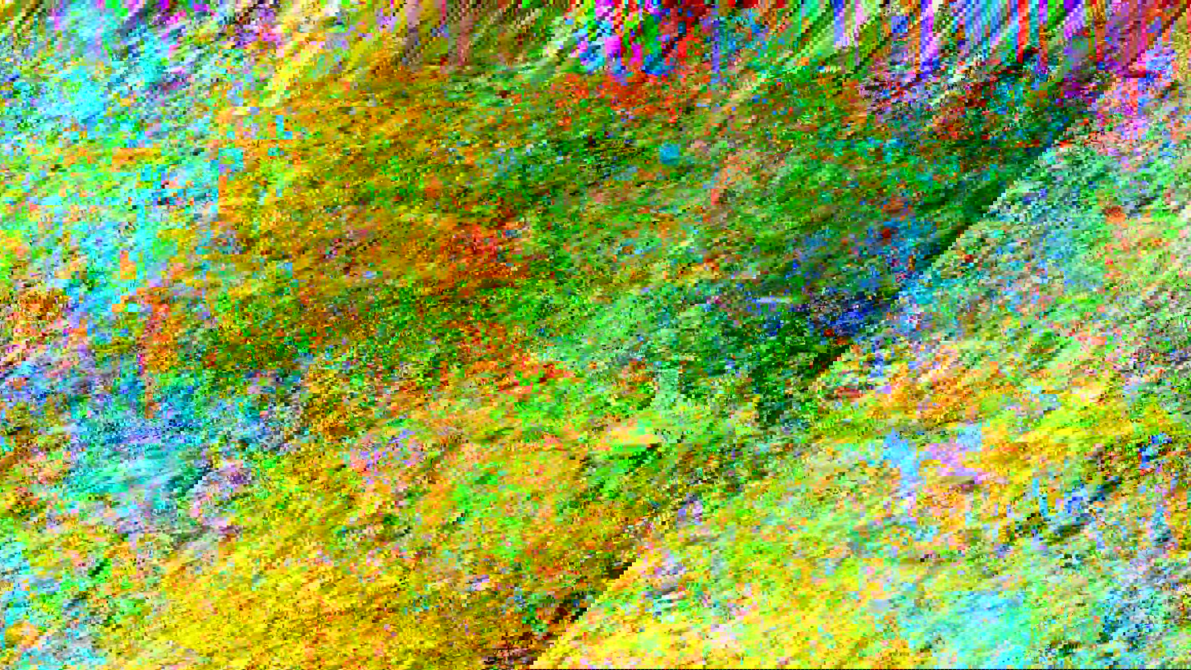 Interlude 02.1 (2025)