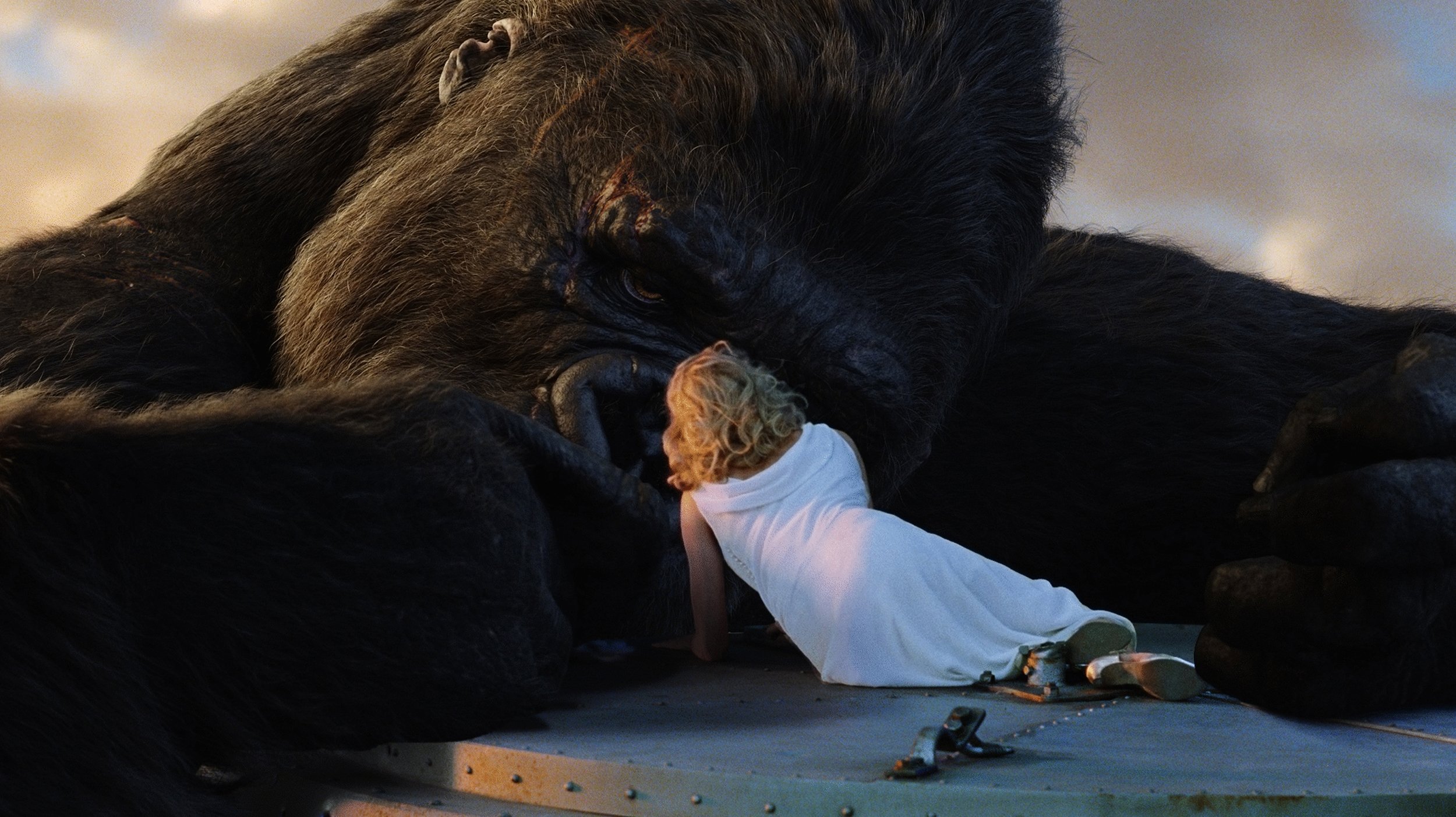 Image du film King Kong (version longue) h20nppytiherwrroqqrtqug4r3ajpg