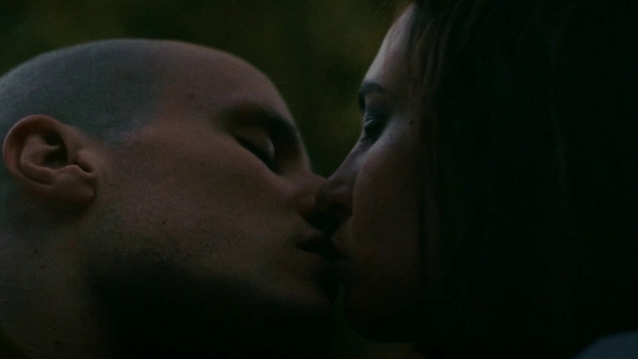 Quiet Life (2019)