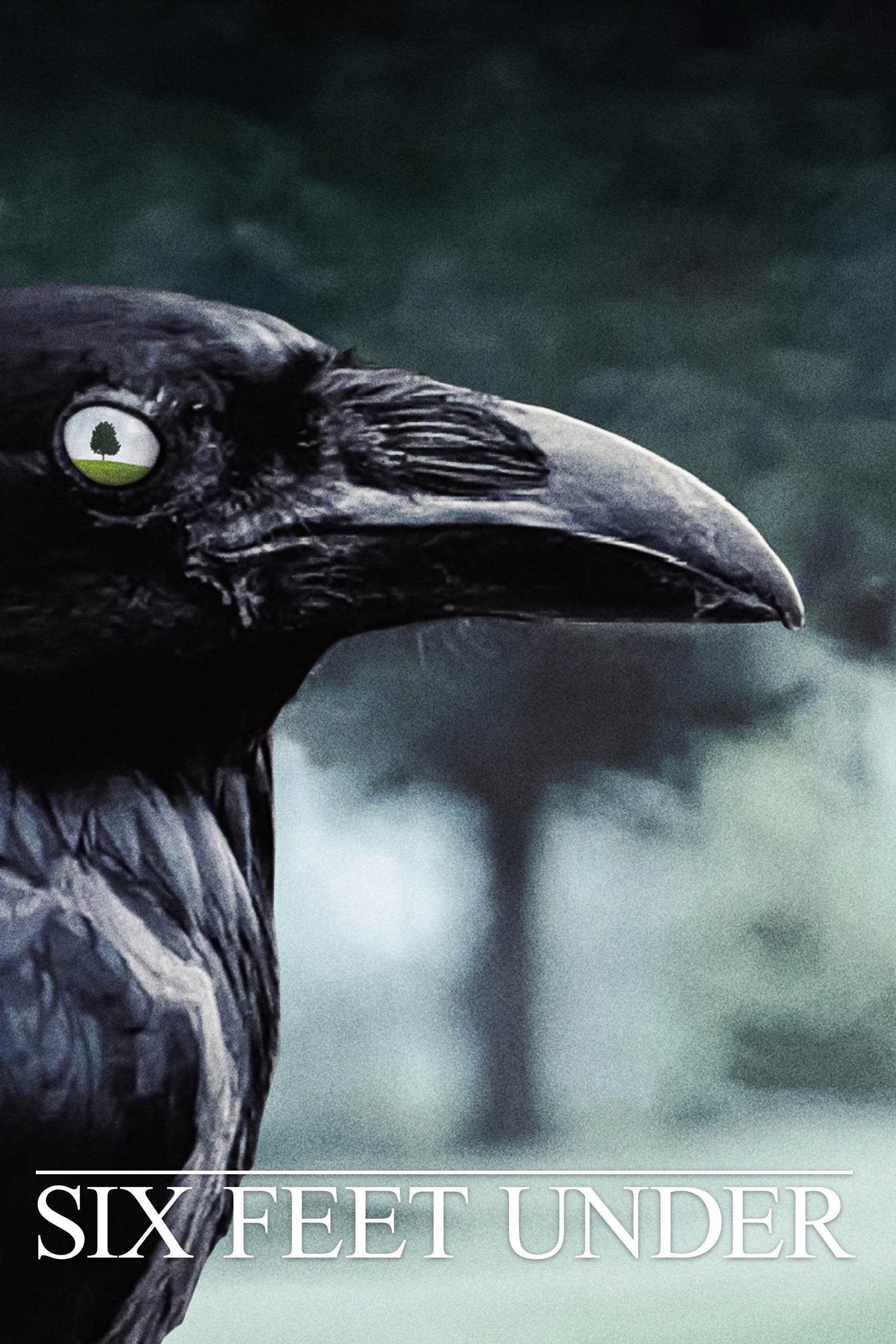 Six Feet Under - Season 4