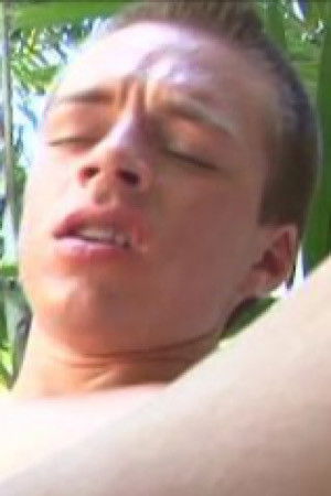 et billede af Ty Mirage