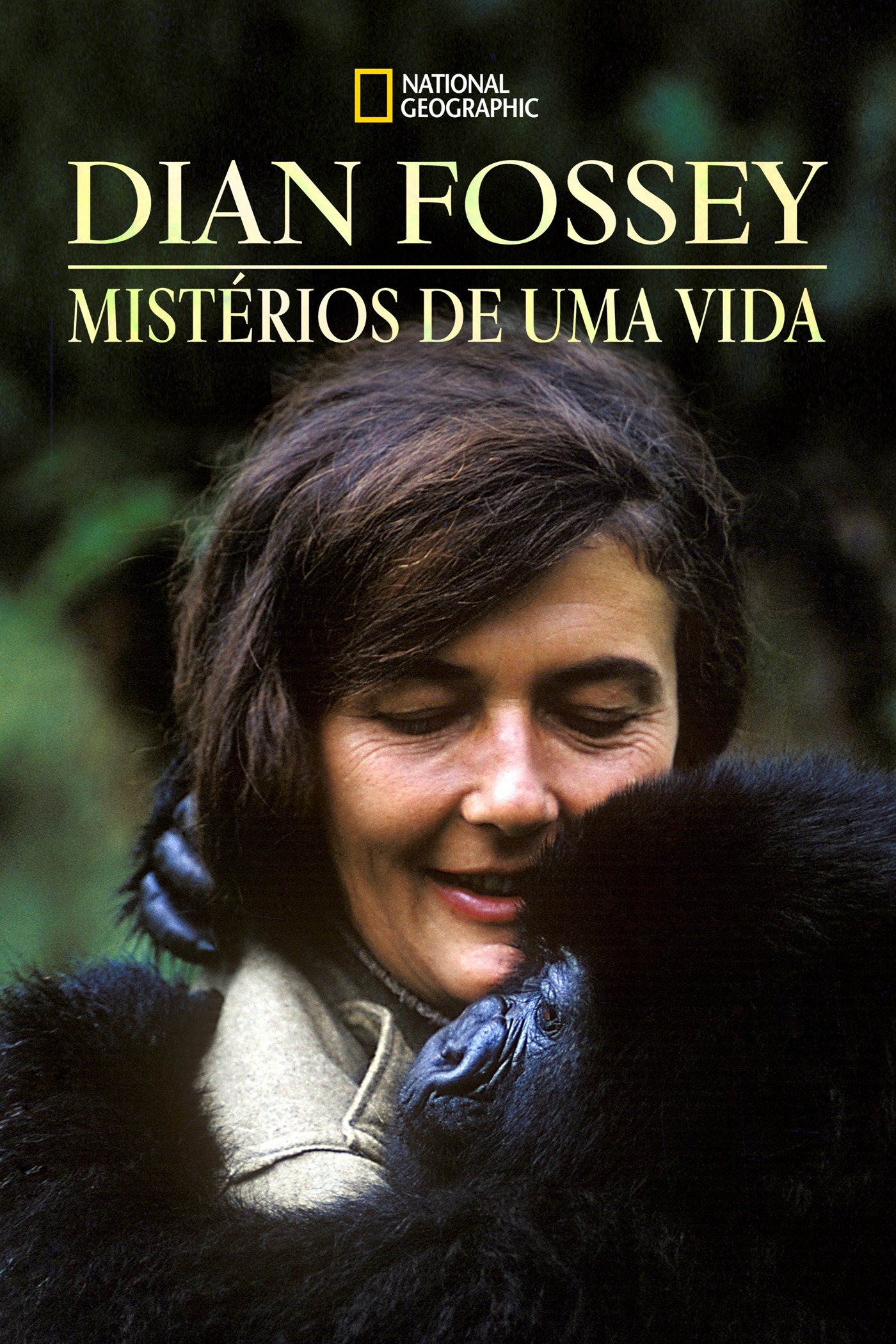 Capa da 1º temporada da série Dian Fossey: Mistérios de uma Vida
