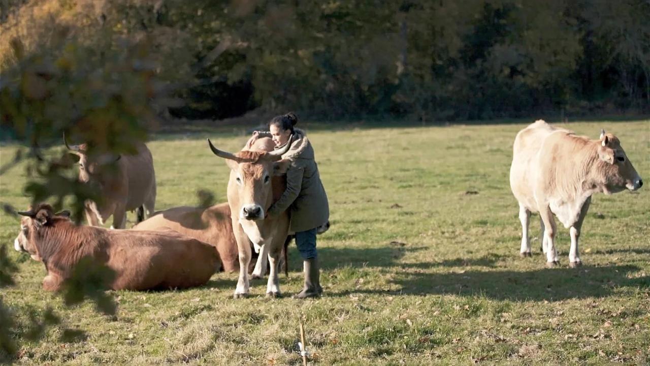 Production Line Animals