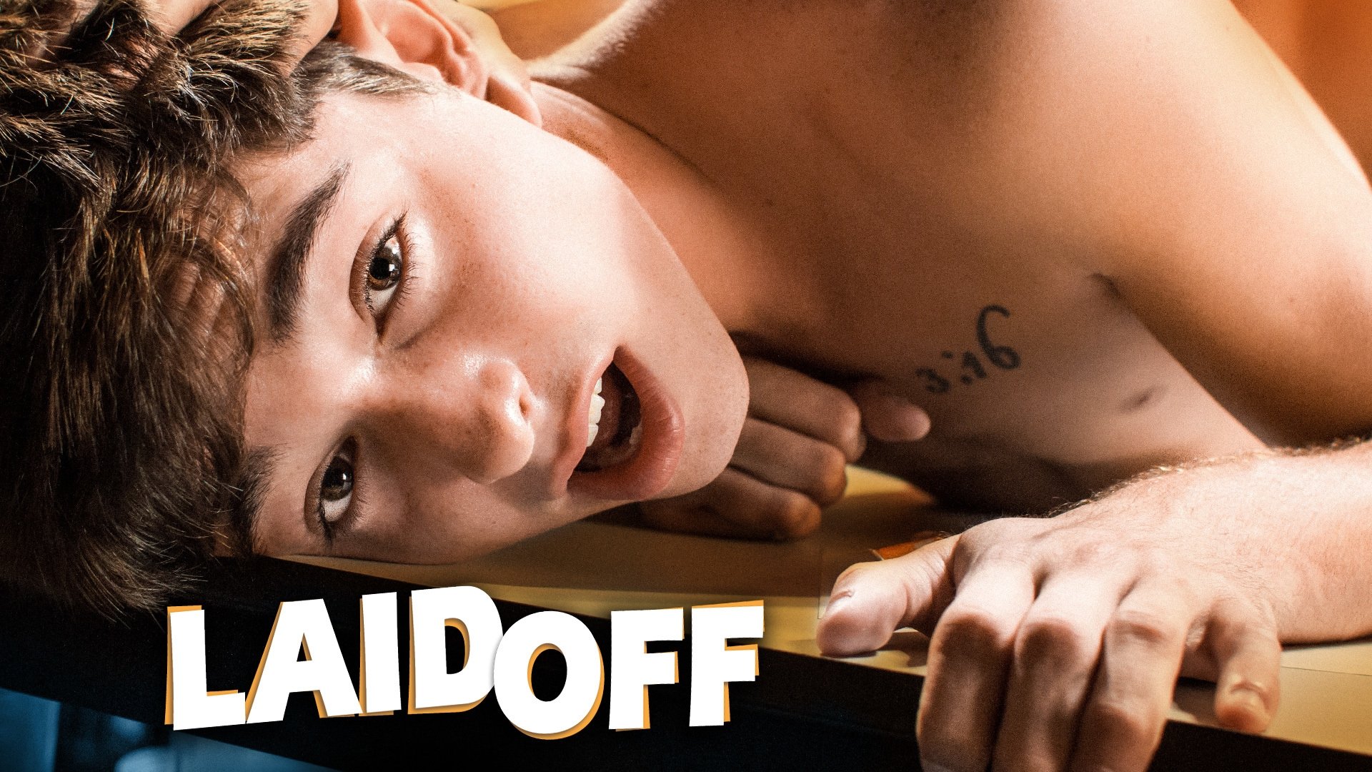 Laid Off (2016)