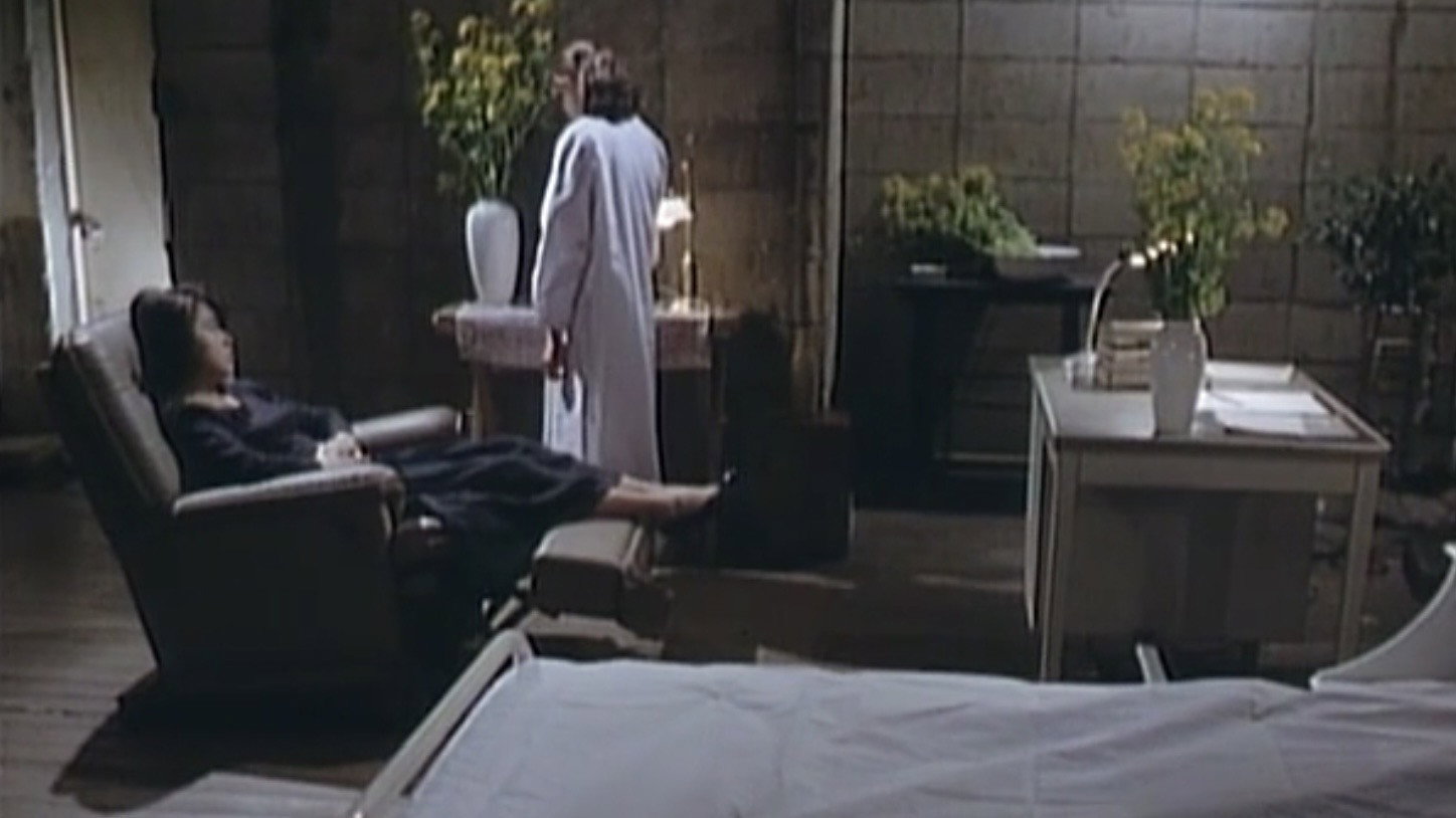 Chikan Densha: Abunai Futomomo