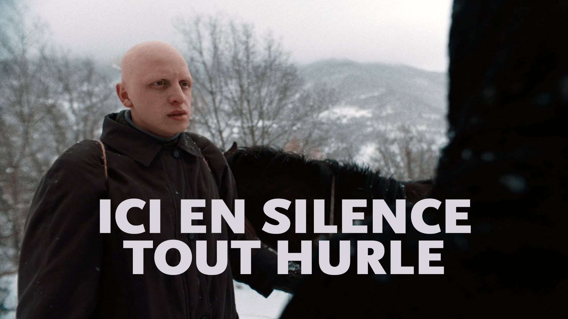 In Silence Everything Roars