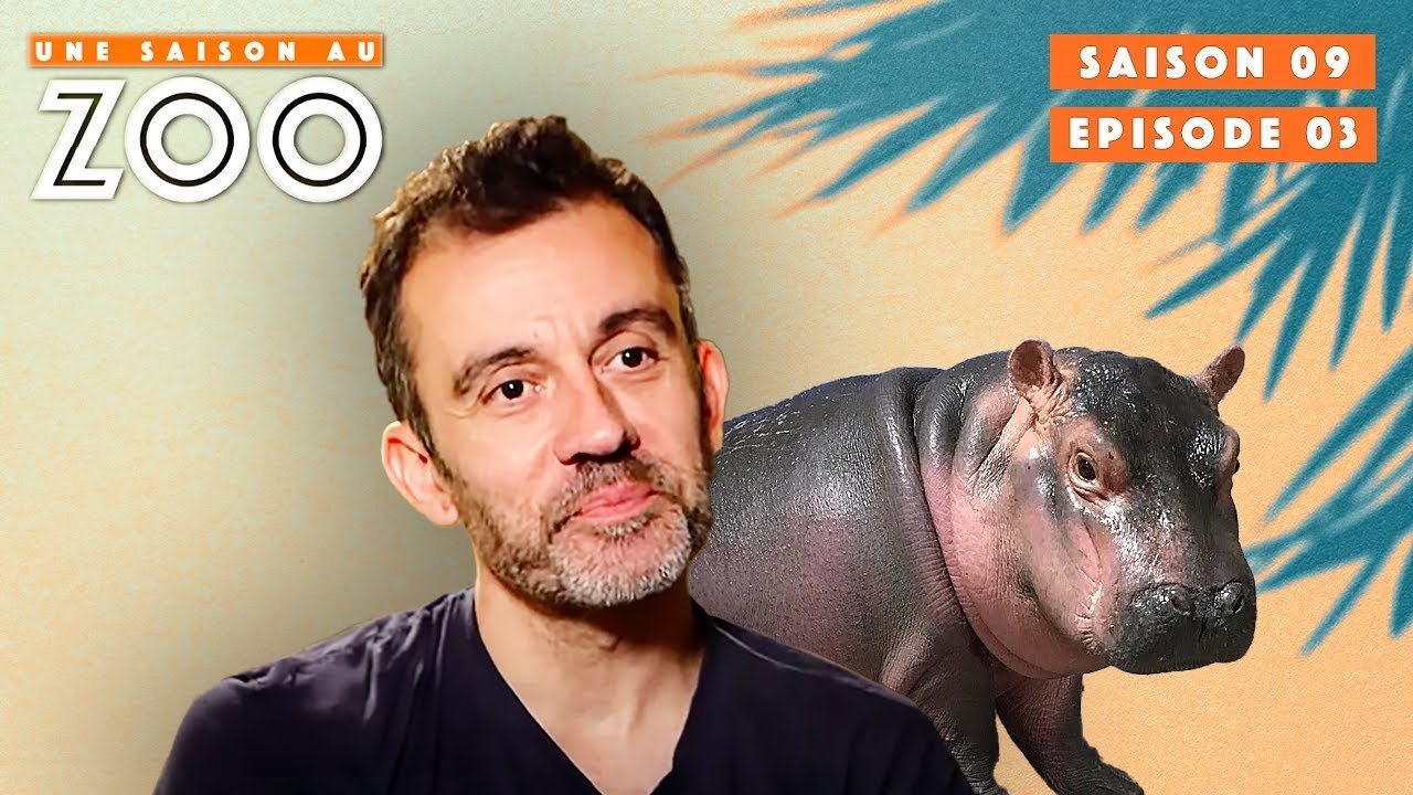 Une saison au zoo - Cyril le véto du Zoo fait sa tournée