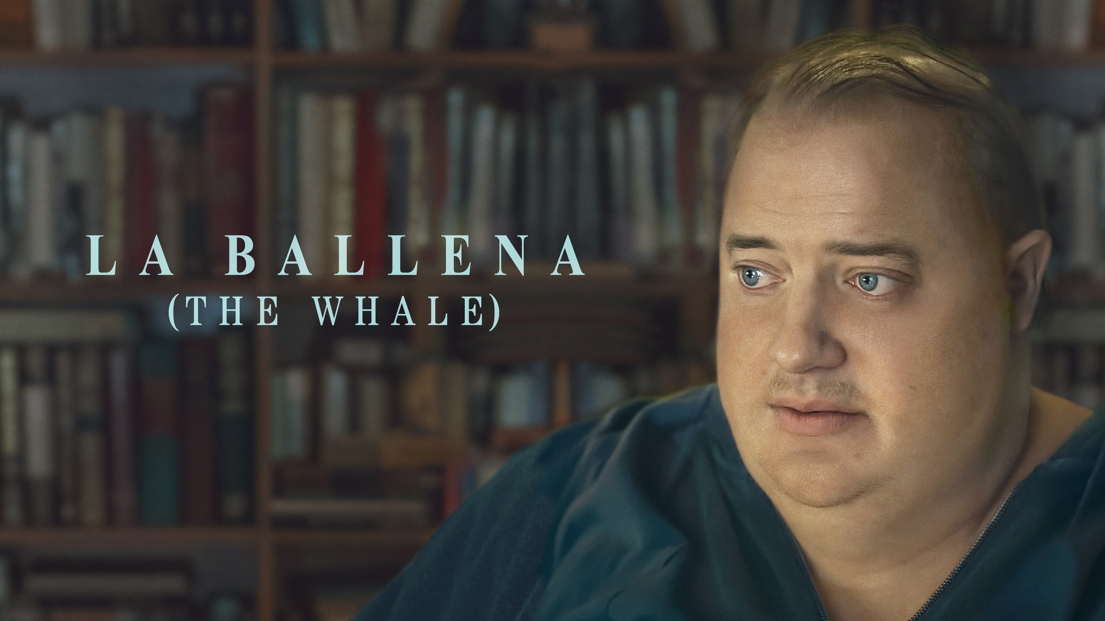 The Whale (2022)