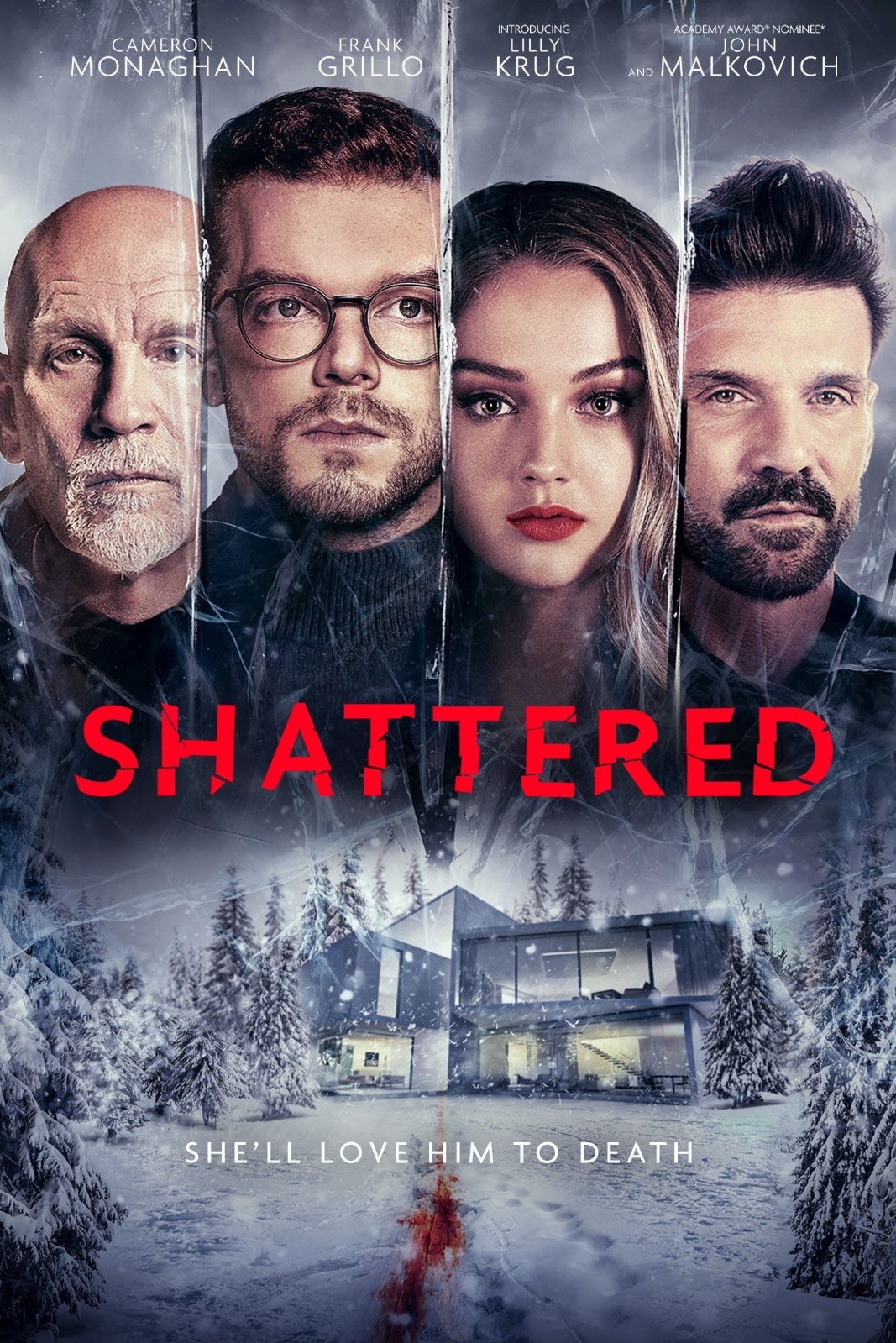 Shattered poster image