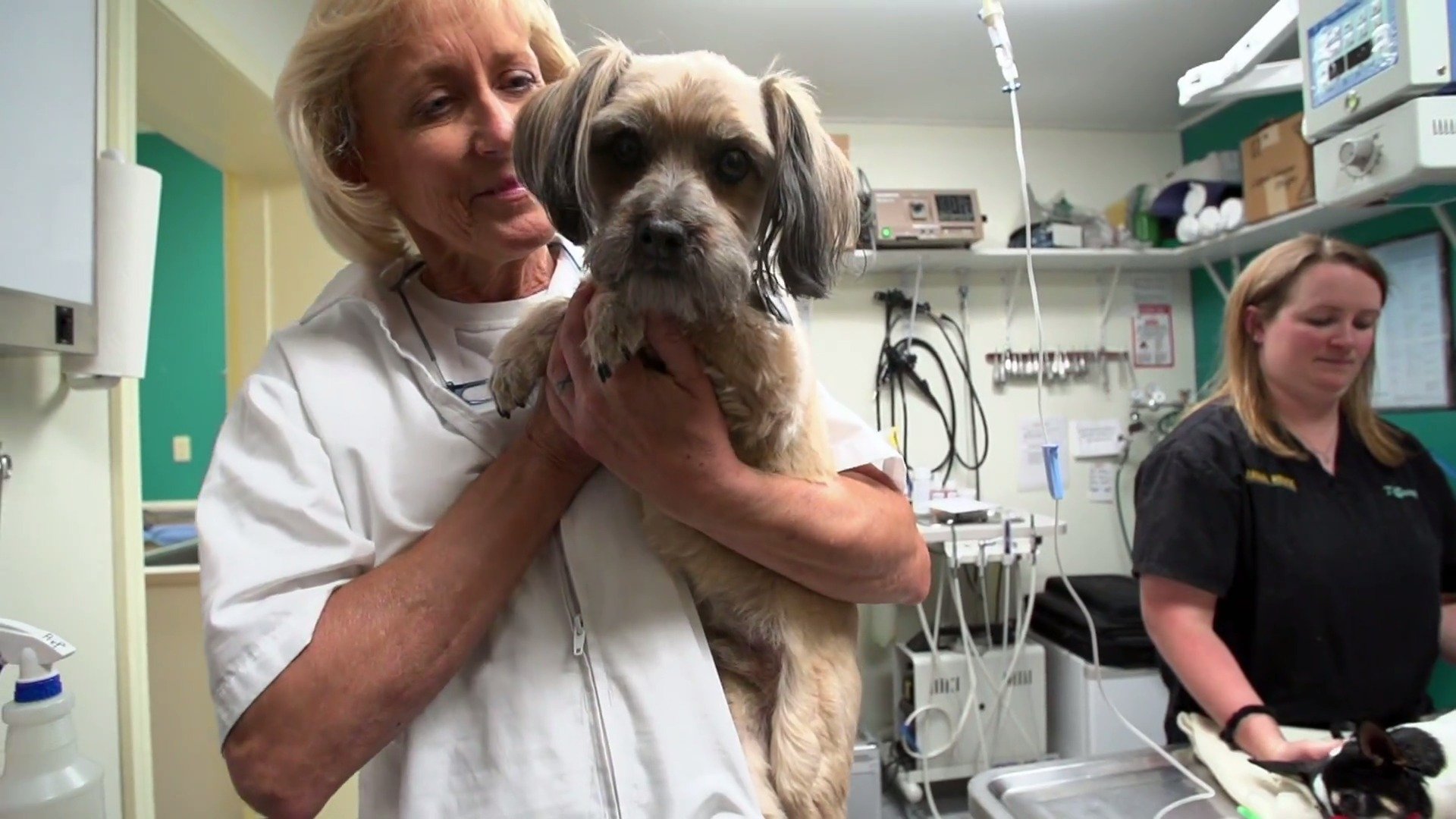 Dr. Dee: Alaska Vet - Épisode 1