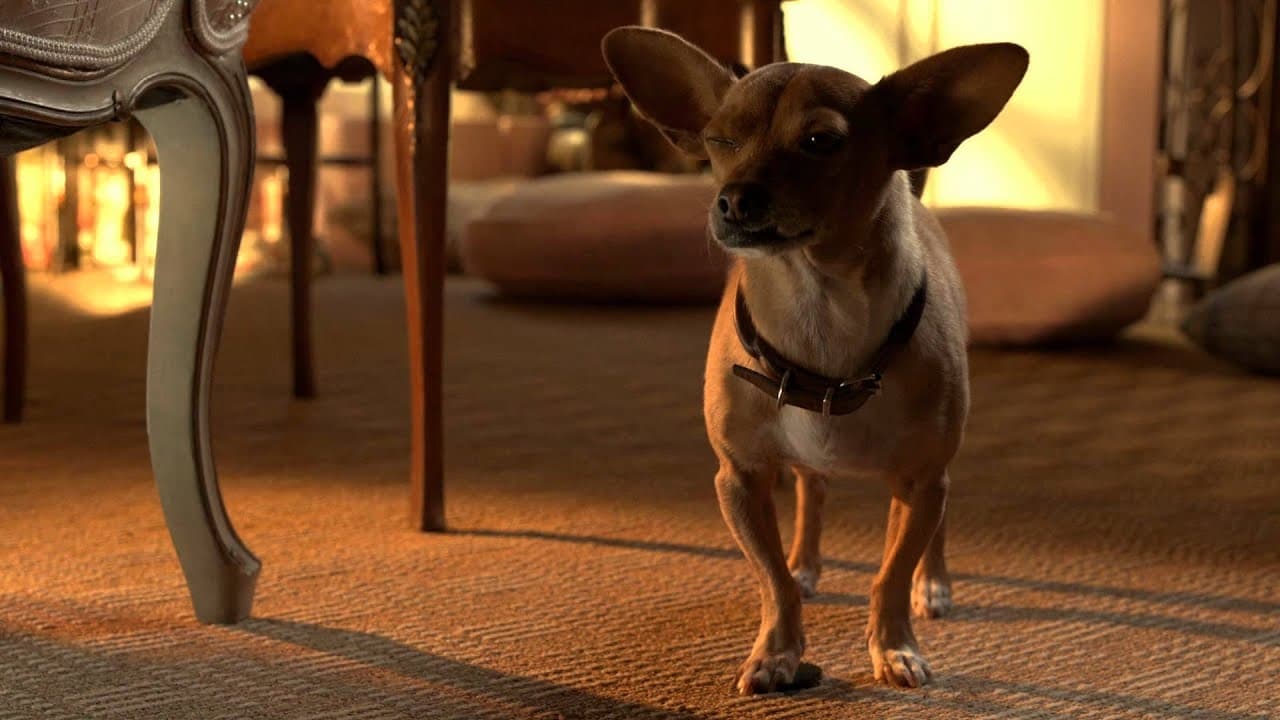 Beverly Hills Chihuahua 3: Viva La Fiesta! (2012)