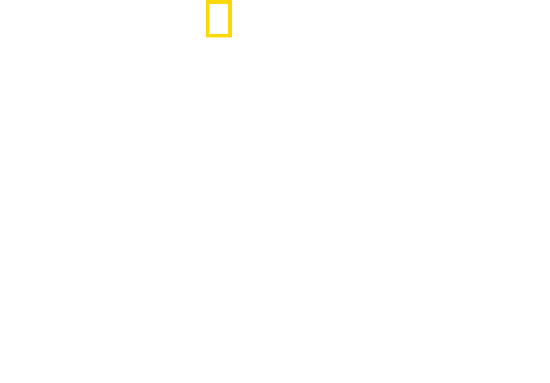 Drugs, Inc. Logo