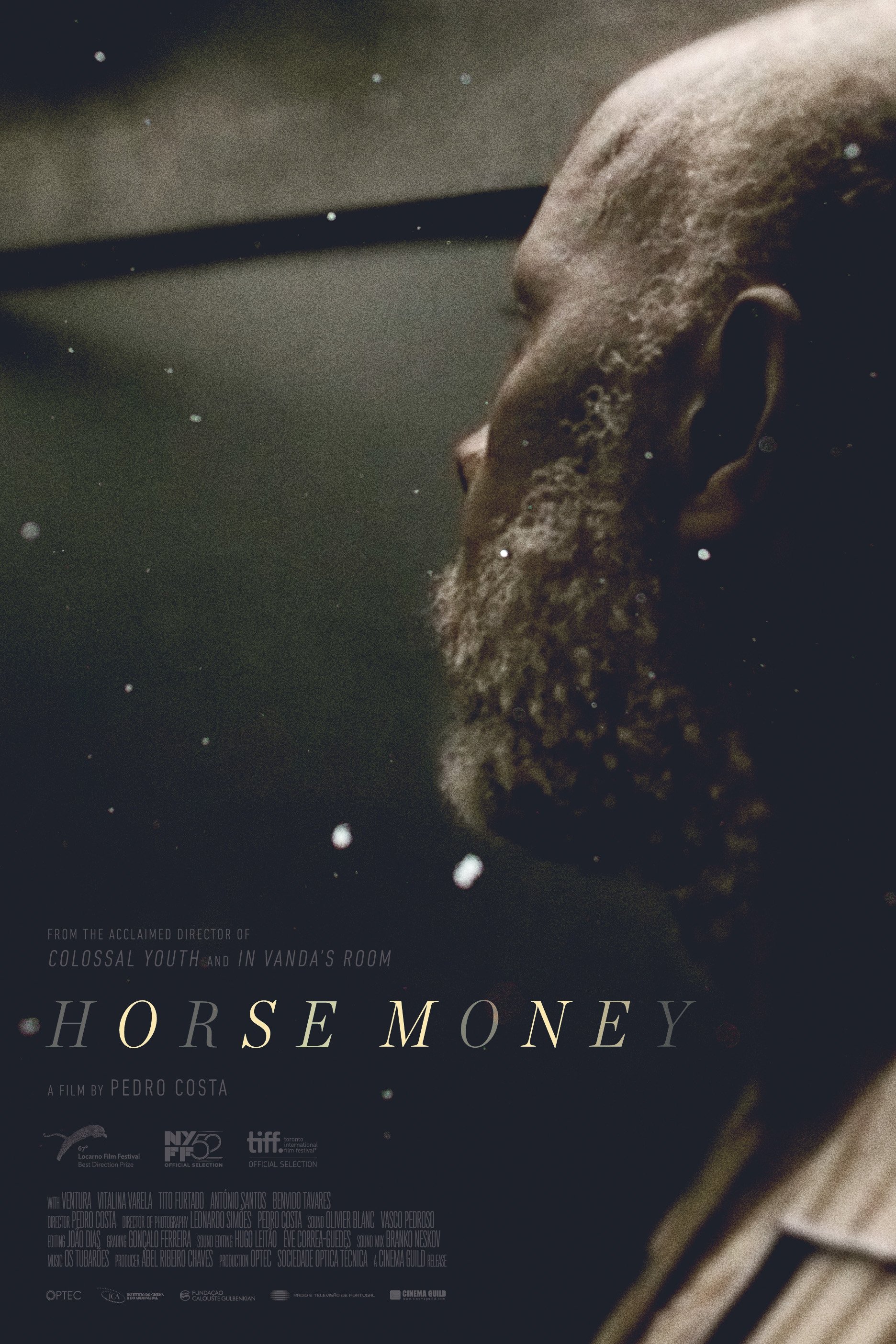 Horse Money