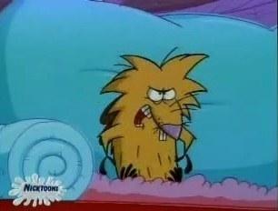 The Angry Beavers