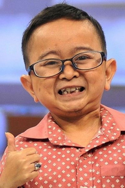 et billede af Daus Mini