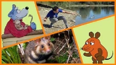 Die Sendung mit der Maus 54x17