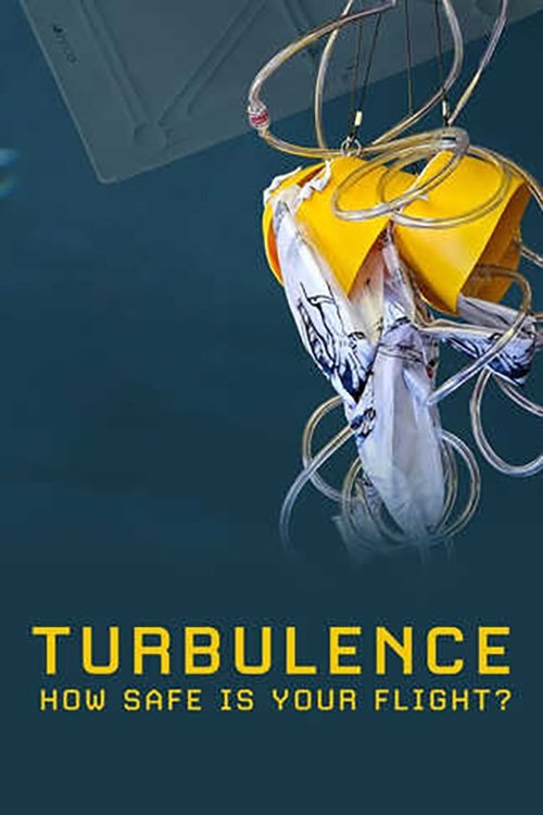 Turbulence: How Safe Is Your Flight?