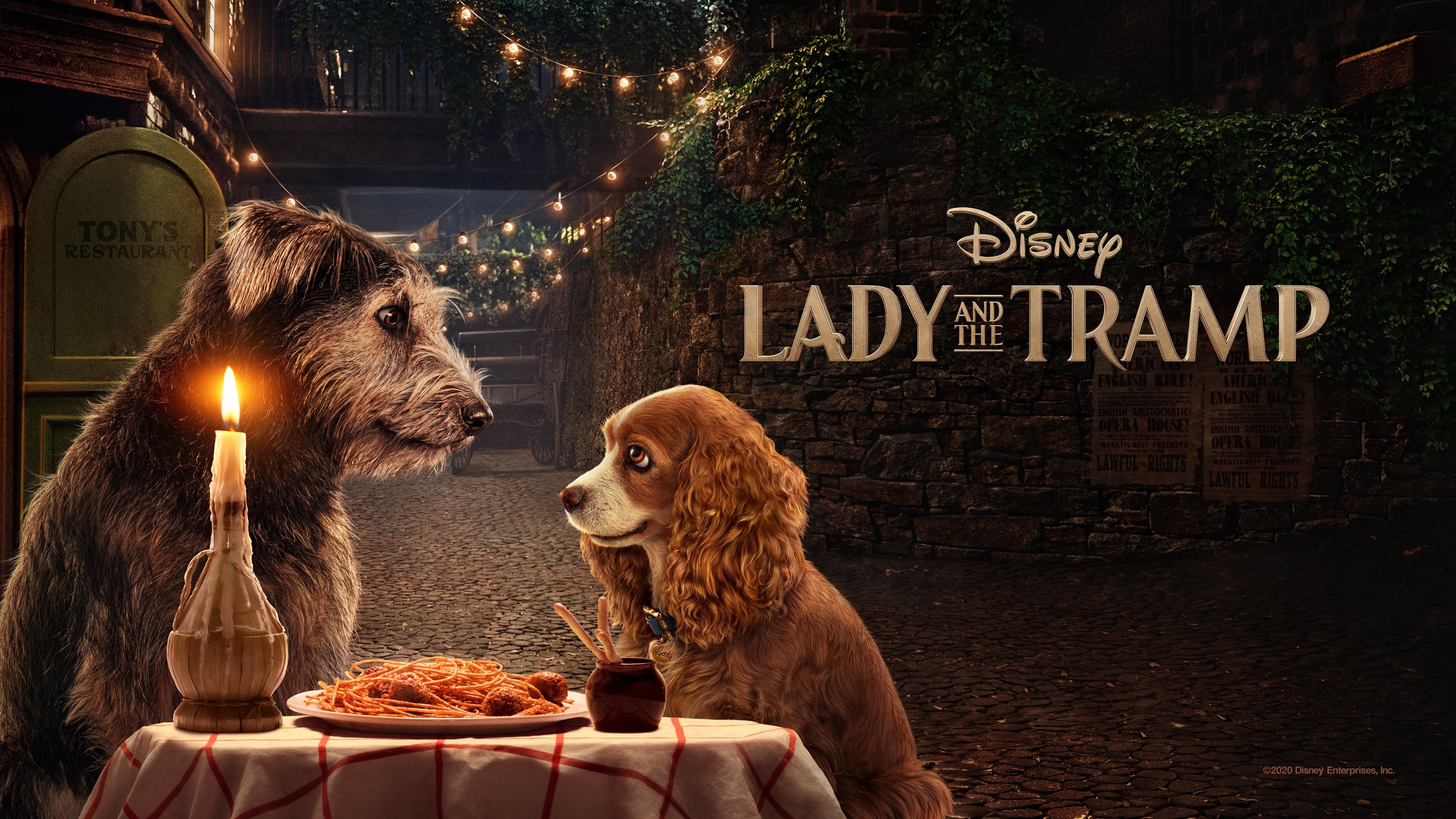 Lady a Tramp