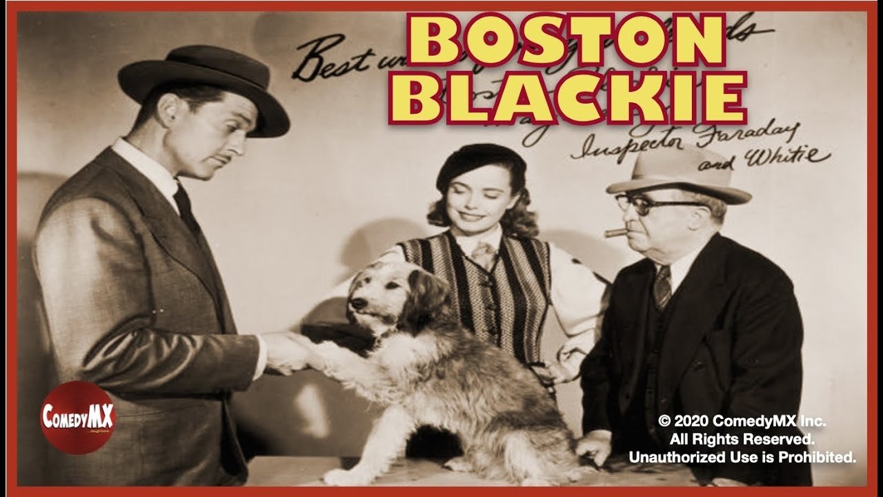 The Adventures of Boston Blackie backdrop cover