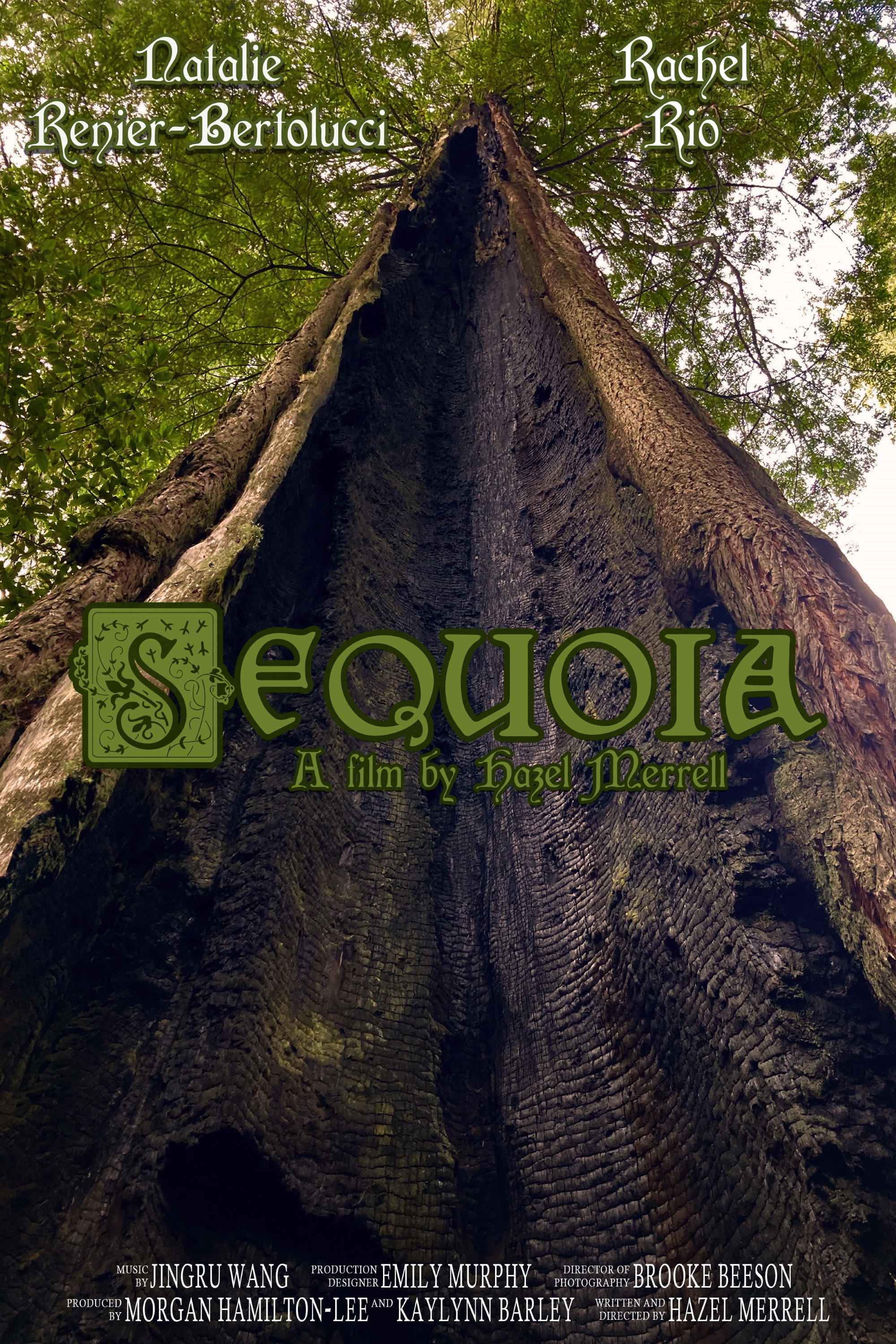 Sequoia