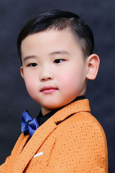 et billede af Shen Linjun