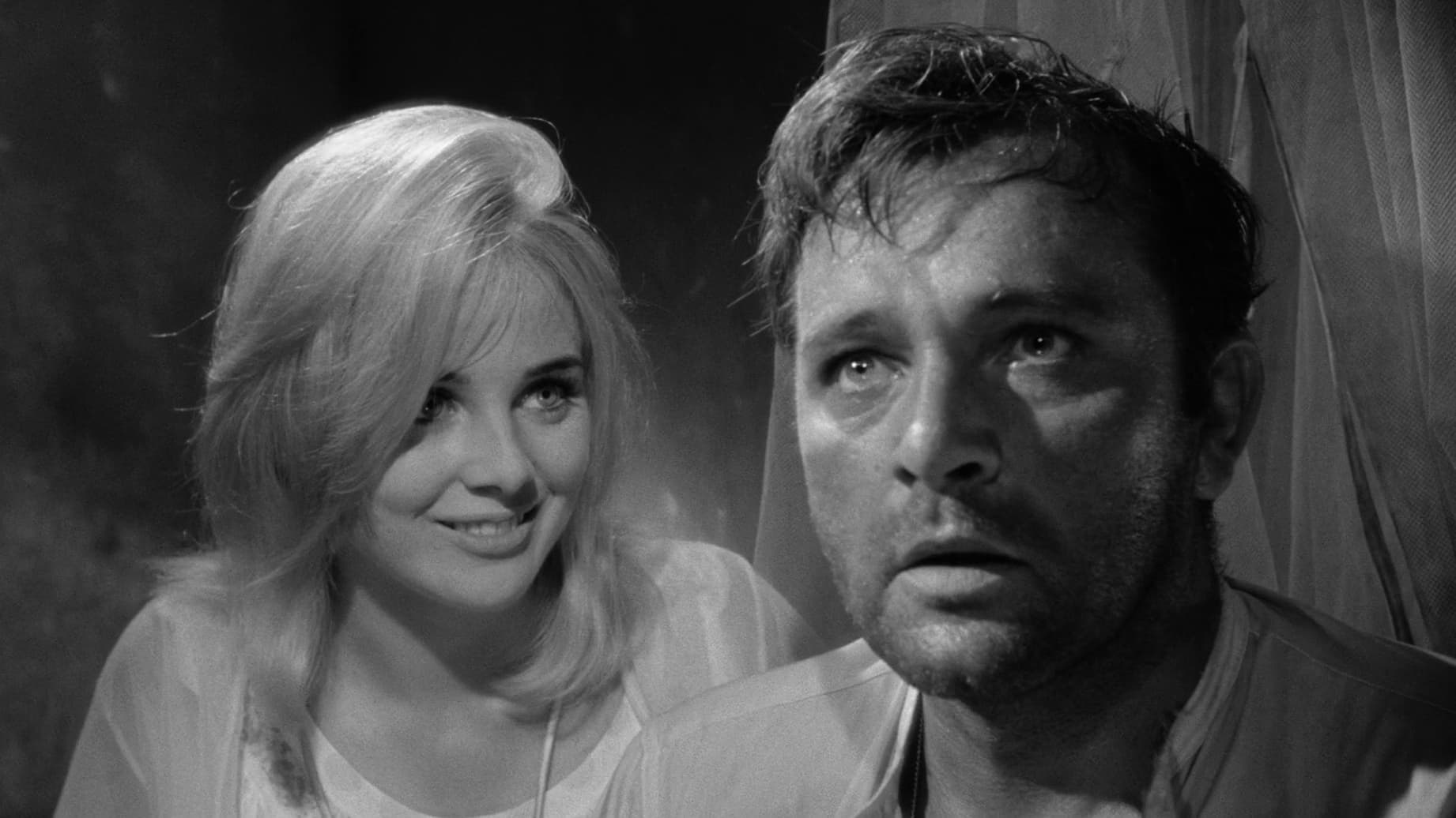Noc s leguánem (1964)