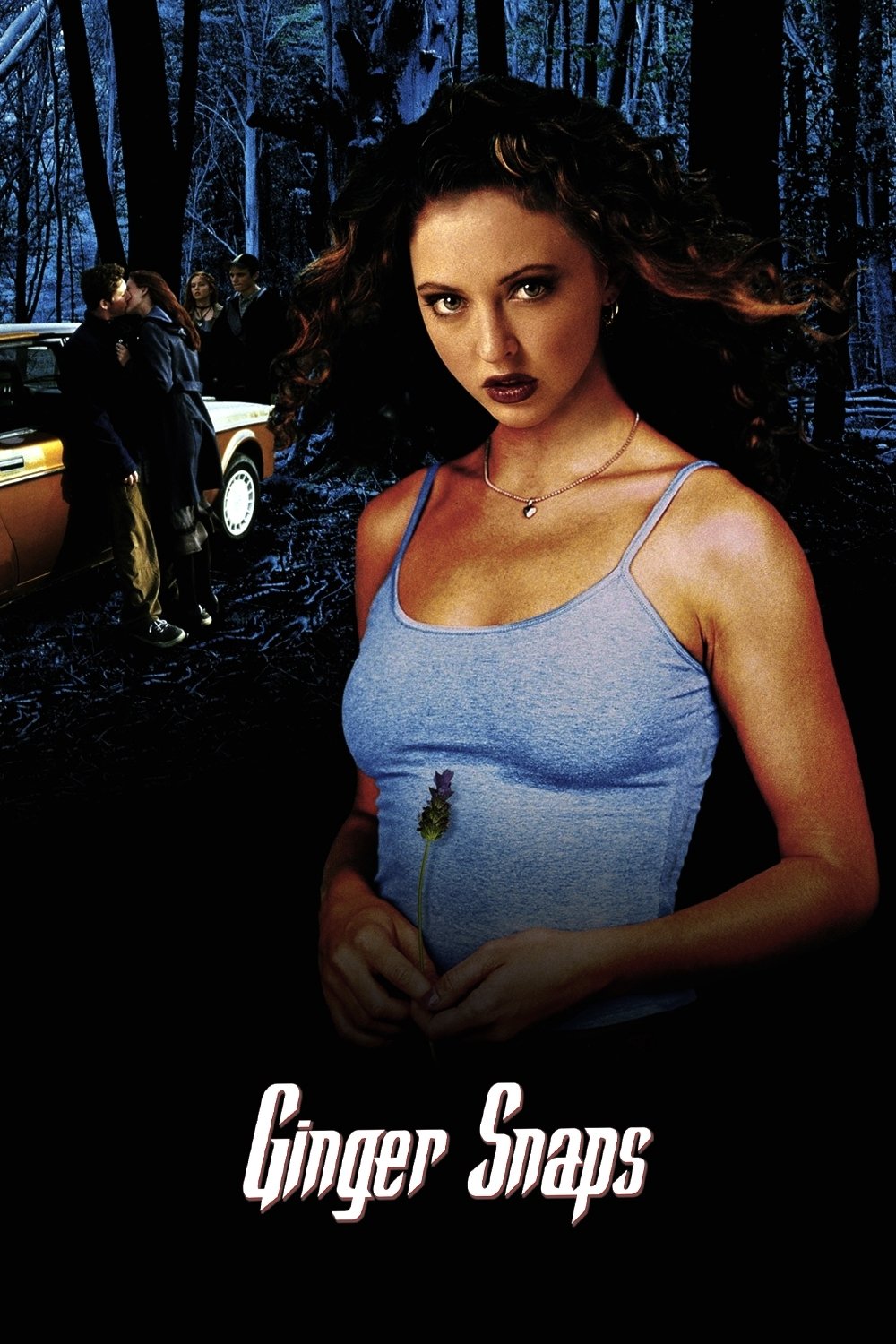 Ginger Snaps