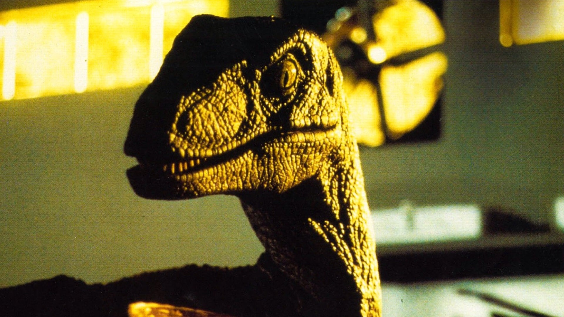 Image du film Jurassic Park hbgl2yqtsgdtc4iuibp09mjpxsujpg
