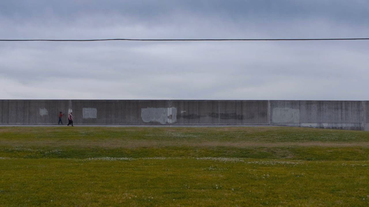 Imagem do Filme Hollow Tree