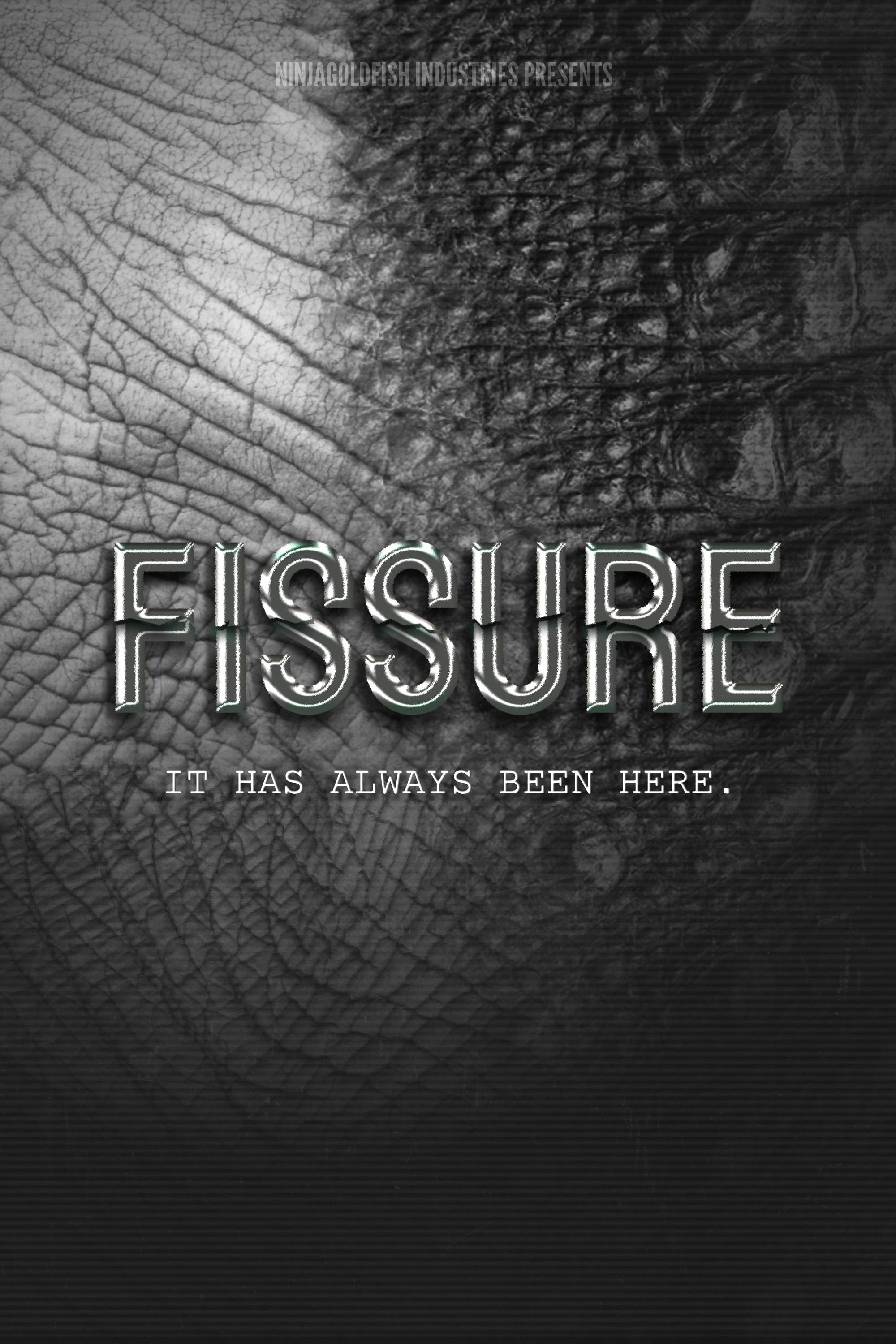 FISSURE
