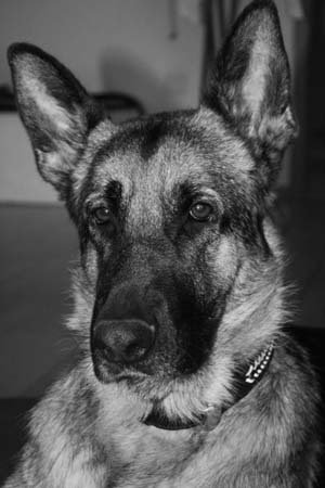 et billede af Excellent